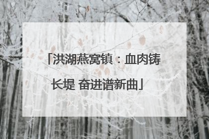 洪湖燕窝镇：血肉铸长堤 奋进谱新曲