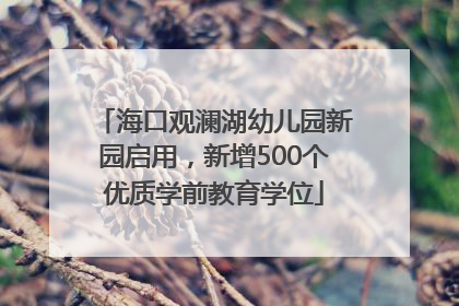 海口观澜湖幼儿园新园启用，新增500个优质学前教育学位