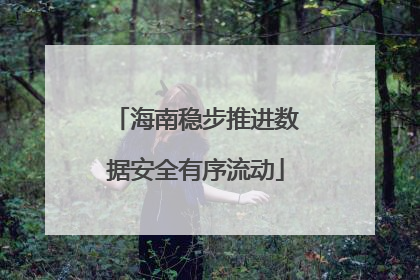 海南稳步推进数据安全有序流动