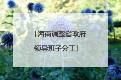 海南调整省政府领导班子分工