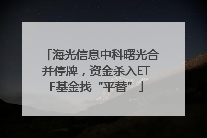 海光信息中科曙光合并停牌，资金杀入ETF基金找“平替”