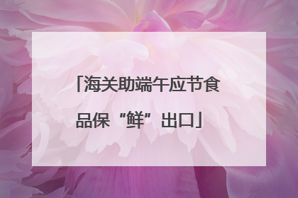 海关助端午应节食品保“鲜”出口