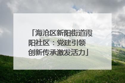 海沧区新阳街道霞阳社区：党建引领 创新传承激发活力