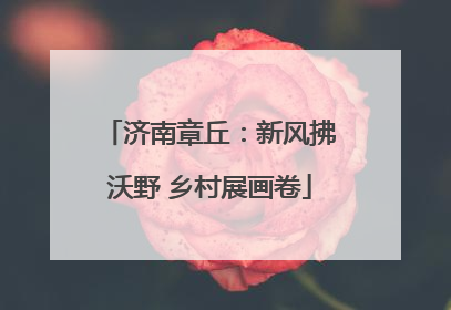 济南章丘：新风拂沃野 乡村展画卷