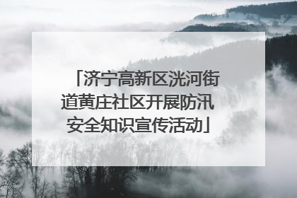 济宁高新区洸河街道黄庄社区开展防汛安全知识宣传活动