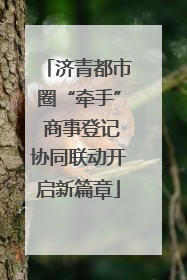 济青都市圈“牵手” 商事登记协同联动开启新篇章