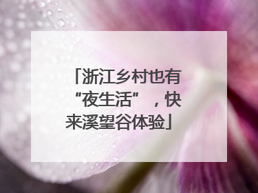 浙江乡村也有“夜生活”，快来溪望谷体验