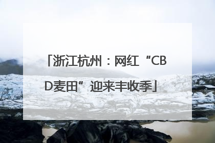 浙江杭州：网红“CBD麦田”迎来丰收季
