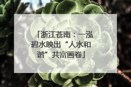 浙江苍南：一泓碧水映出“人水和谐”共富画卷