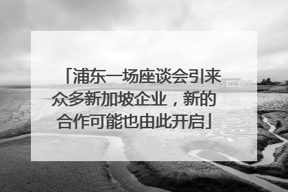 浦东一场座谈会引来众多新加坡企业，新的合作可能也由此开启