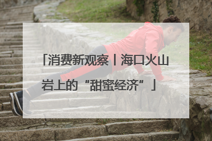 消费新观察丨海口火山岩上的“甜蜜经济”