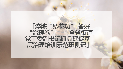 淬炼“绣花功” 答好“治理卷”——全省街道党工委副书记抓党建促基层治理培训示范班侧记