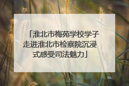 淮北市梅苑学校学子走进淮北市检察院沉浸式感受司法魅力
