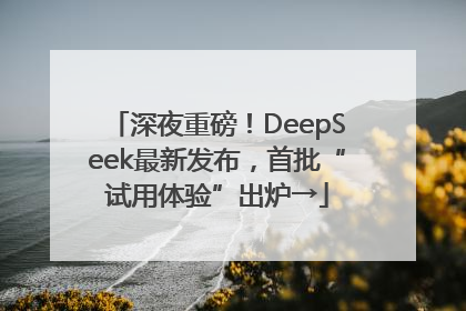 深夜重磅！DeepSeek最新发布，首批“试用体验”出炉→