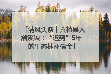 清风头条｜桑植县人潮溪镇：“迟到”5年的生态林补偿金
