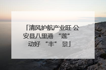清风护航产业旺 公安县八里港 “莲” 动好 “丰” 景