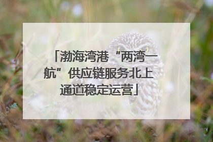渤海湾港“两湾一航”供应链服务北上通道稳定运营