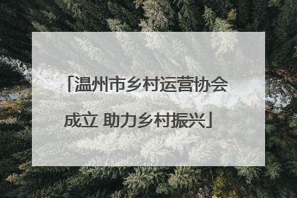 温州市乡村运营协会成立 助力乡村振兴