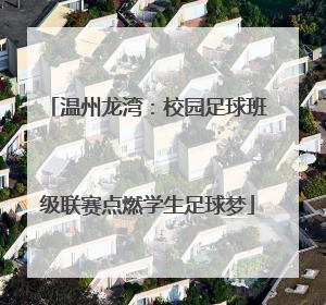 温州龙湾：校园足球班级联赛点燃学生足球梦