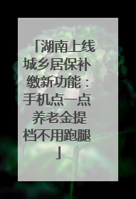湖南上线城乡居保补缴新功能：手机点一点 养老金提档不用跑腿