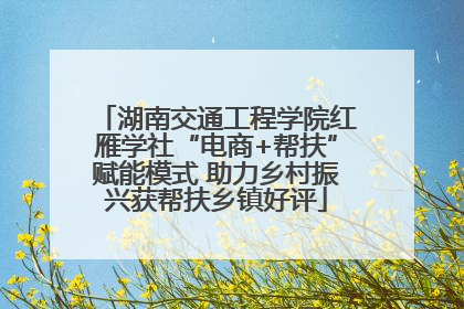 湖南交通工程学院红雁学社“电商+帮扶”赋能模式 助力乡村振兴获帮扶乡镇好评
