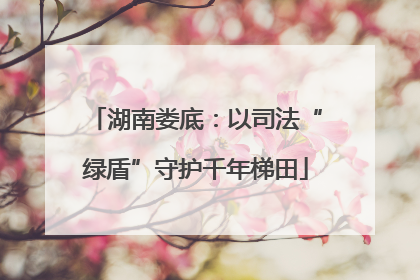 湖南娄底：以司法“绿盾”守护千年梯田