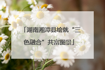 湖南湘潭县绘就“三色融合”共富图景