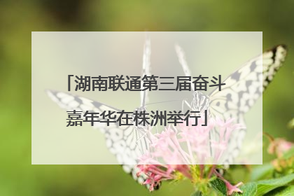 湖南联通第三届奋斗嘉年华在株洲举行