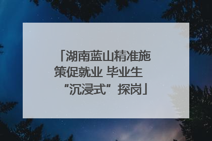 湖南蓝山精准施策促就业 毕业生“沉浸式”探岗