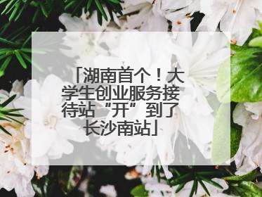 湖南首个！大学生创业服务接待站“开”到了长沙南站