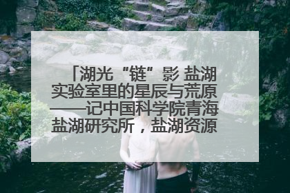 湖光“链”影 盐湖实验室里的星辰与荒原——记中国科学院青海盐湖研究所，盐湖资源化学实验室党总支书记、副主任刘忠