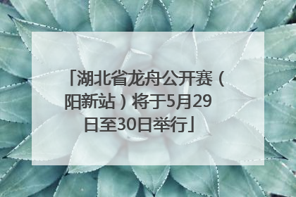 湖北省龙舟公开赛（阳新站）将于5月29日至30日举行