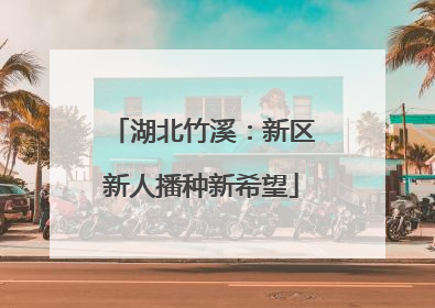 湖北竹溪：新区新人播种新希望
