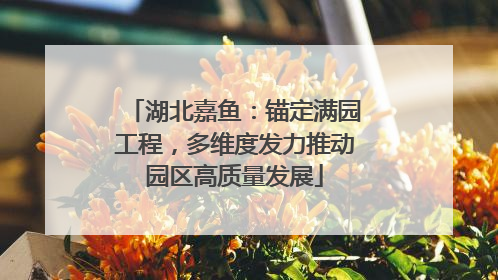 湖北嘉鱼：锚定满园工程，多维度发力推动园区高质量发展