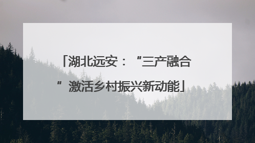 湖北远安：“三产融合”激活乡村振兴新动能