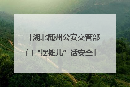 湖北随州公安交管部门“摆摊儿”话安全