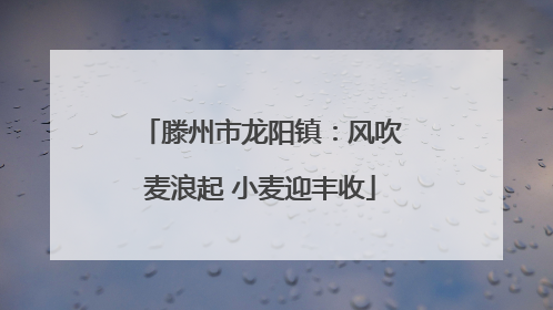 滕州市龙阳镇：风吹麦浪起 小麦迎丰收