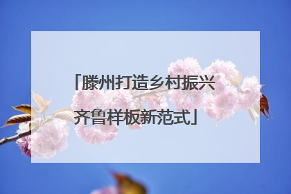 滕州打造乡村振兴齐鲁样板新范式