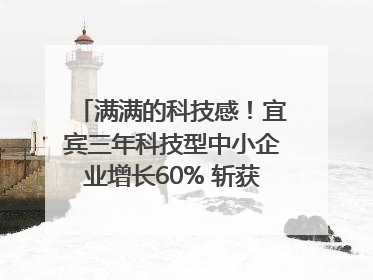 满满的科技感！宜宾三年科技型中小企业增长60% 斩获部省科技奖6项｜您牵挂的四川