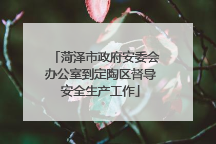 菏泽市政府安委会办公室到定陶区督导安全生产工作