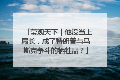 莹观天下｜他没当上局长，成了特朗普与马斯克争斗的牺牲品？