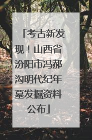 考古新发现！山西省汾阳市冯郝沟明代纪年墓发掘资料公布