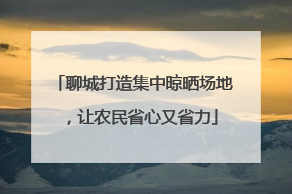 聊城打造集中晾晒场地，让农民省心又省力
