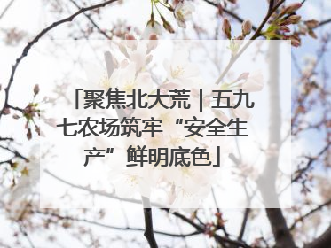 聚焦北大荒｜五九七农场筑牢“安全生产”鲜明底色