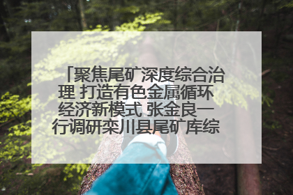 聚焦尾矿深度综合治理 打造有色金属循环经济新模式 张金良一行调研栾川县尾矿库综合治理工作