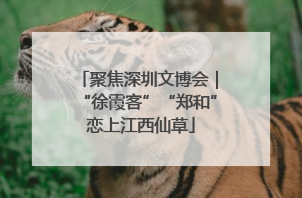 聚焦深圳文博会｜“徐霞客”“郑和”恋上江西仙草