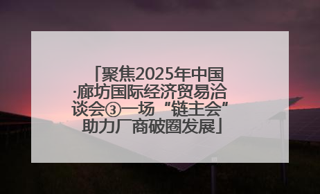 聚焦2025年中国·廊坊国际经济贸易洽谈会③一场“链主会” 助力厂商破圈发展