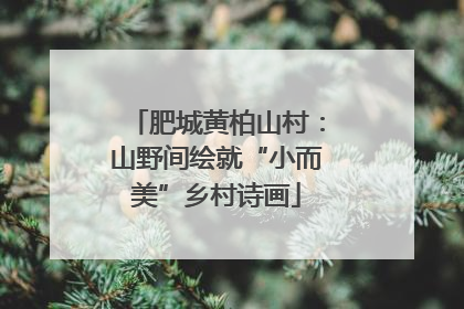 肥城黄柏山村：山野间绘就“小而美”乡村诗画