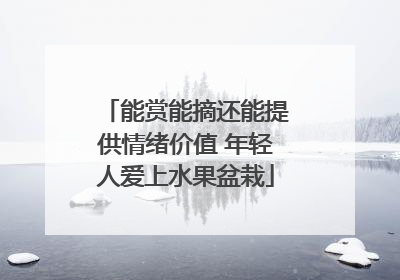 能赏能摘还能提供情绪价值 年轻人爱上水果盆栽