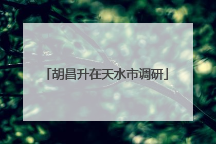 胡昌升在天水市调研